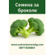 Броколи Броколи