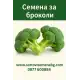 Броколи