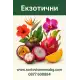 Екзотични