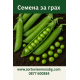 Грах