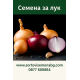 Лук Лук