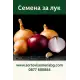 Лук Лук