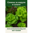 Марули и салати