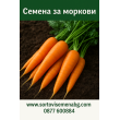 Моркови семена