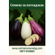 Патладжан