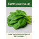 Спанак Спанак