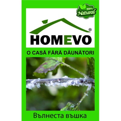 100% Натурален препарат срещу вълнеста въшка / Homevo paduchi lanosi