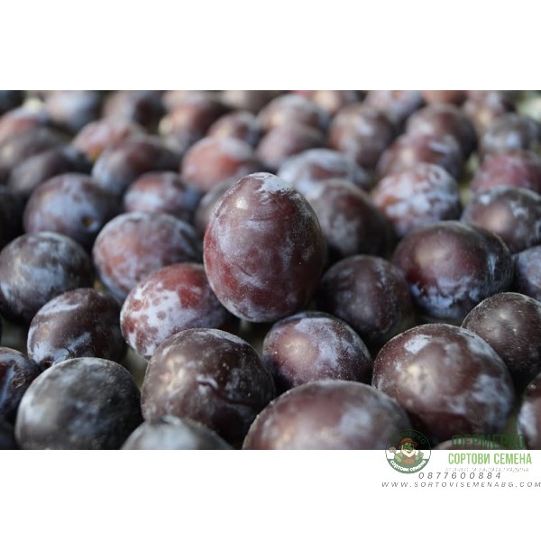 Дека ЕК - пиретроиден инсектицид