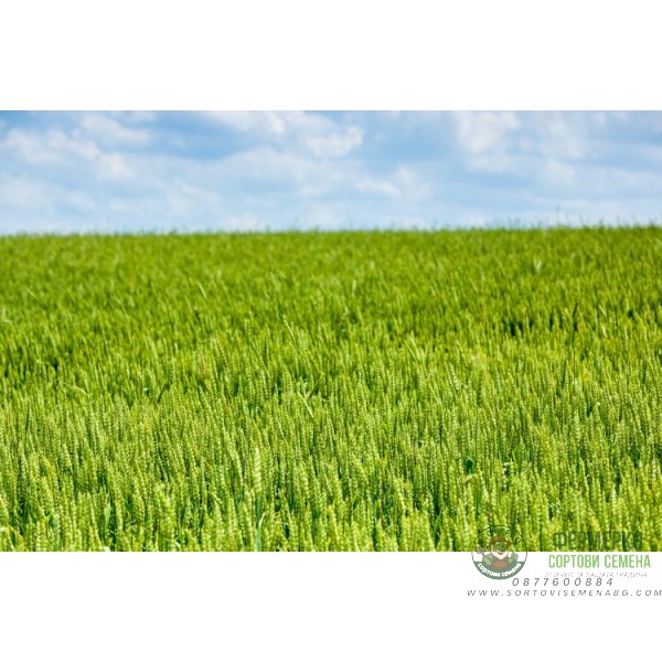 Дека ЕК - пиретроиден инсектицид