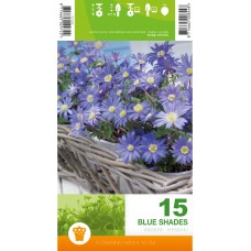 Анемония Сини нюанси Anemone Blue Shades - 15 бр луковици