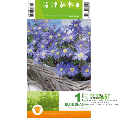 Анемония Сини нюанси / Anemone Blue Shades - 15 бр луковици