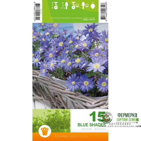 Анемония Сини нюанси Anemone Blue Shades - 15 бр луковици