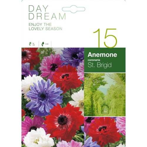 Анемония Микс St. Brigid / Anemone corornaria - 15 бр луковици