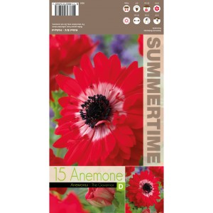 Анемония Губернатор / Anemone corornaria - 15 бр луковици