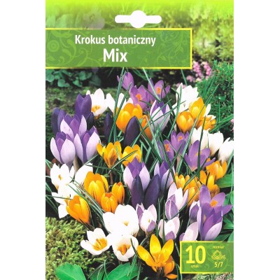 Минзухар Ботанически Микс / Botanical Mix - 10 бр луковици