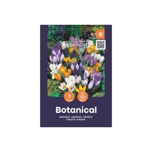 Минзухар Ботанически Микс / Botanical Mix - 7 бр луковици