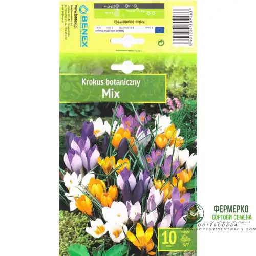 Минзухар Ботанически Микс / Botanical Mix - 10 бр луковици