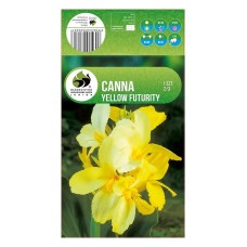 Кана Йелоу Фютюрити Canna - 1 бр луковица