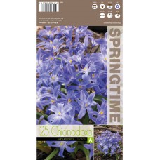 Хионодокса Синя Chionodoxa luciliae Blue - 25 бр луковици