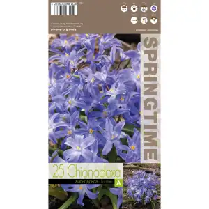 Хионодокса Синя / Chionodoxa luciliae Blue - 25 бр луковици