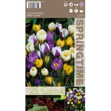 Минзухар Ботанически Микс Crocus Botanical Mixed - 25 бр луковици