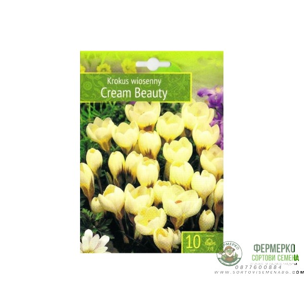 Минзухар Крем Бюти Crocus Cream Beauty - 10 бр луковици