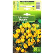 Минзухар Дороти Crocus Dorothy - 10 бр луковици