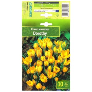 Минзухар Дороти / Crocus Dorothy - 10 бр луковици