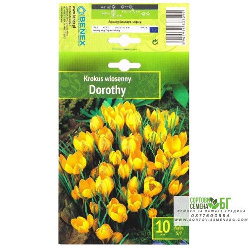 Минзухар Дороти / Crocus Dorothy - 10 бр луковици