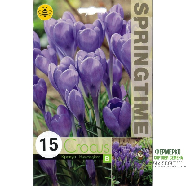 Минзухар Колибри Crocus Hummingbird - 15 бр луковици