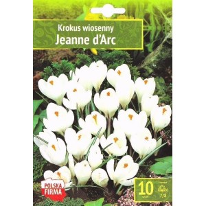Минзухар Жана дАрк / Crocus Jeanne dArc - 10 бр луковици