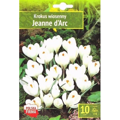 Минзухар Жана дАрк / Crocus Jeanne dArc - 10 бр луковици