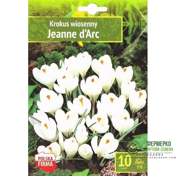 Минзухар Жана дАрк Crocus Jeanne dArc - AGRONOM 7 бр луковици