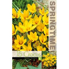 Минзухар Королков Crocus Korolkowii - 15 бр луковици