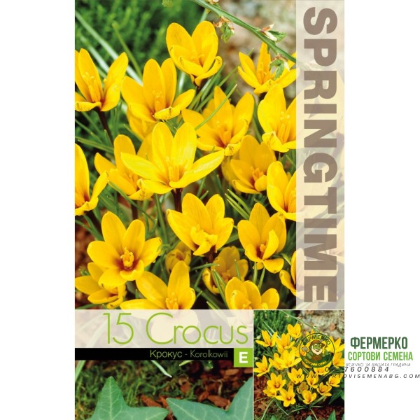 Минзухар Королков Crocus Korolkowii - 15 бр луковици