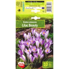 Минзухар Лилава красота Crocus Lilac Beauty - 10 бр луковици