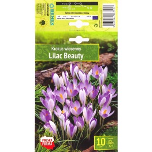 Минзухар Лилава красота / Crocus Lilac Beauty - 10 бр луковици