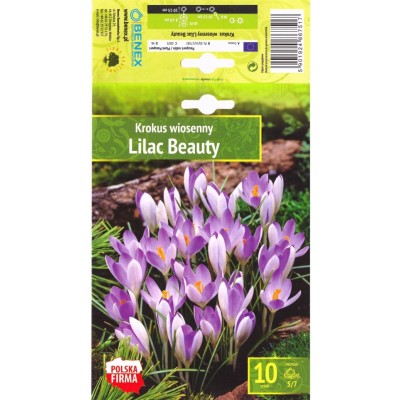 Минзухар Лилава красота / Crocus Lilac Beauty - 10 бр луковици