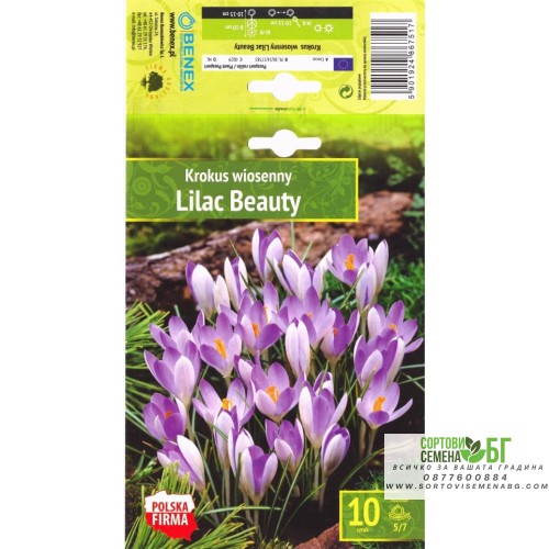 Минзухар Лилава красота / Crocus Lilac Beauty - 10 бр луковици Минзухар Лилава красота / Crocus Lilac Beauty - 10 бр луковици