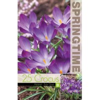 Минзухар Рубин Гигант Crocus Ruby Giant - 25 бр луковици