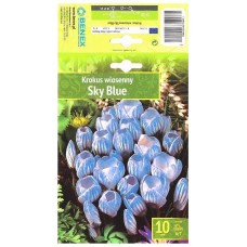 Минзухар Небесно син Crocus Sky Blue - 10 бр луковици