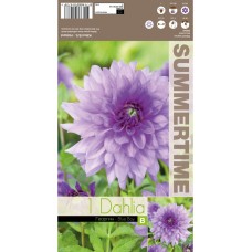 Далия (Гергина) Blue Boy - 1 бр луковицa