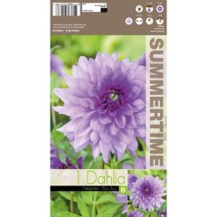 Далия (Гергина) Blue Boy - 1 бр луковицa