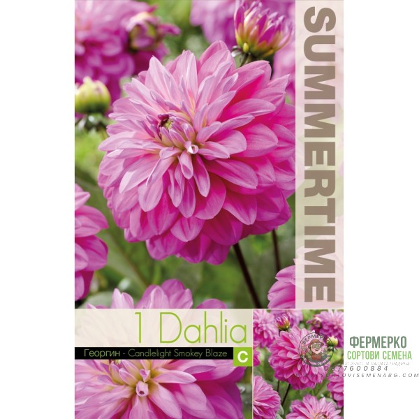 Далия (Гергина) Candlelight Smokey Blaze - 1 бр луковицa