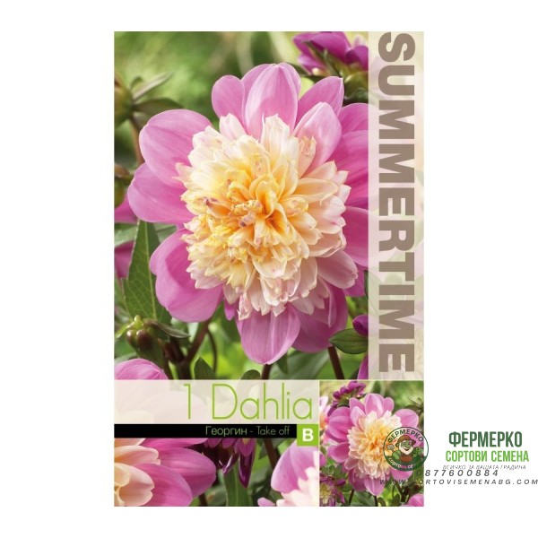 Далия (Гергина) Take off Dahlia Cav. - 1 бр луковицa