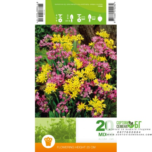 Декоративен лук Микс / Allium Mixed – 20 бр луковици