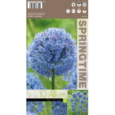 Декоративен лук Син Allium Caeruleum - 10 бр луковици