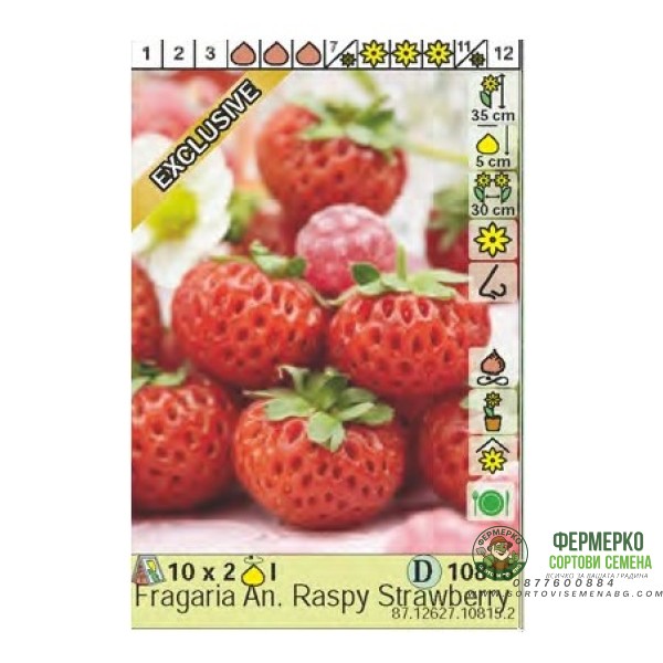Ягоди Распи Fragaria × ananassa Raspy Strawberry - 2 бр корени