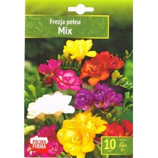 Фрезия Двойна Микс Freesia Double Mix - 10 бр луковици