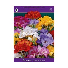 Фрезия Двойна Микс Freesia Double Mixed - 8 бр луковици